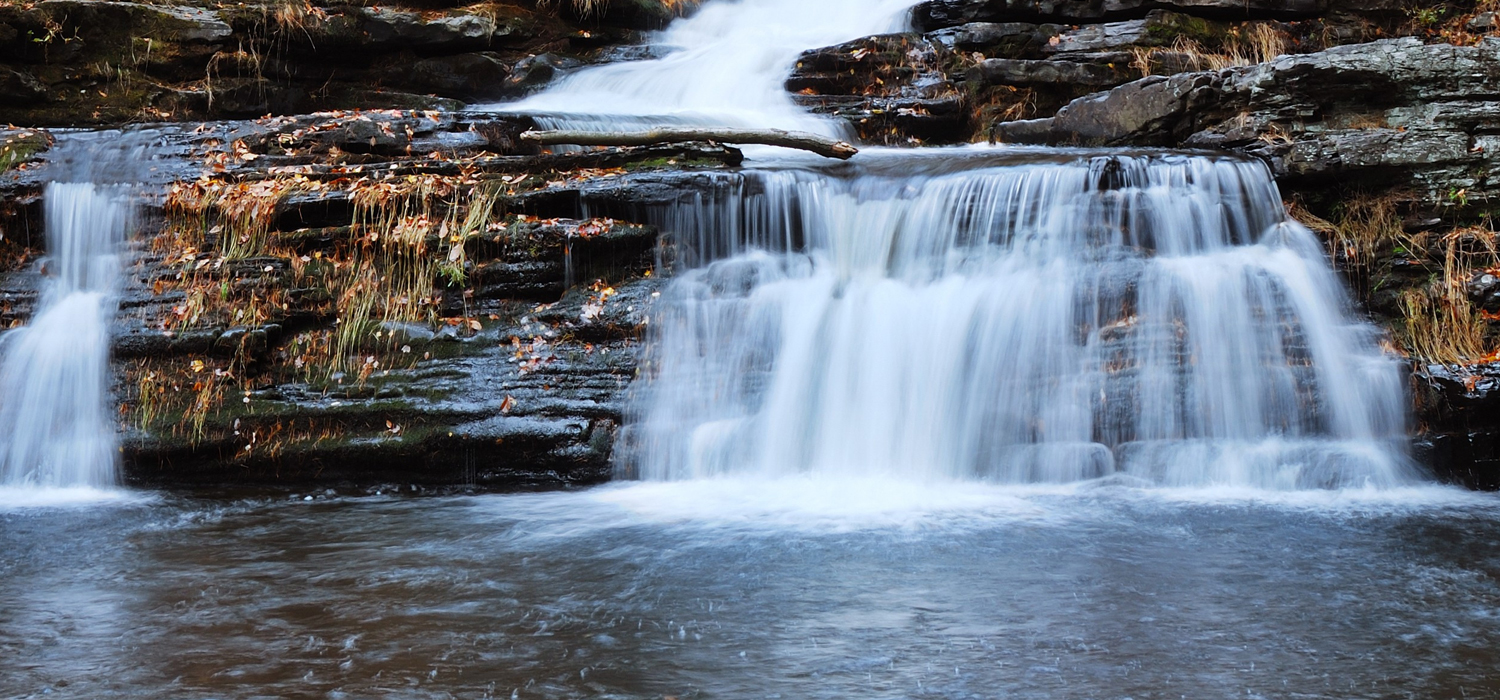 Robert H. Treman State Park